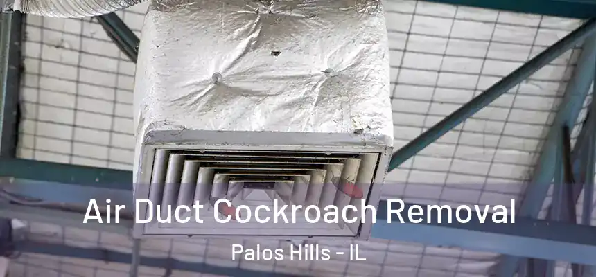  Air Duct Cockroach Removal Palos Hills - IL