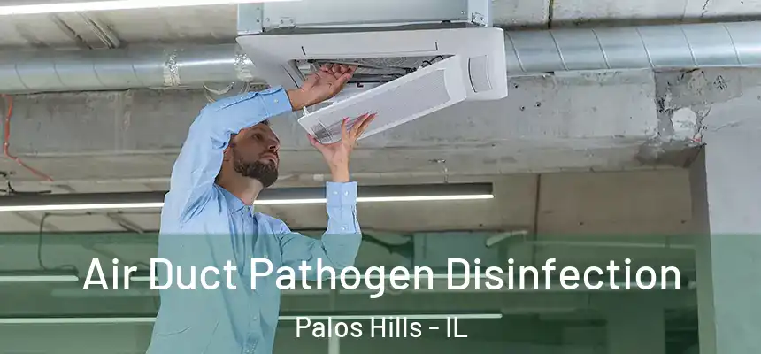  Air Duct Pathogen Disinfection Palos Hills - IL