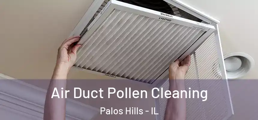  Air Duct Pollen Cleaning Palos Hills - IL