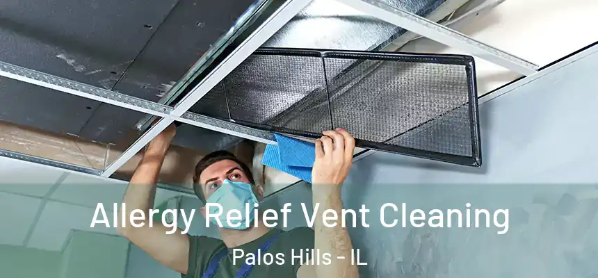  Allergy Relief Vent Cleaning Palos Hills - IL