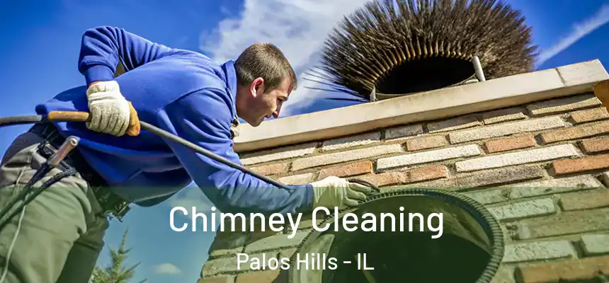  Chimney Cleaning Palos Hills - IL