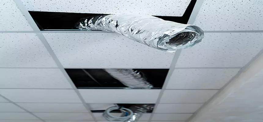 Our Air Duct Pet Hair Removal Services in Palos Hills, IL