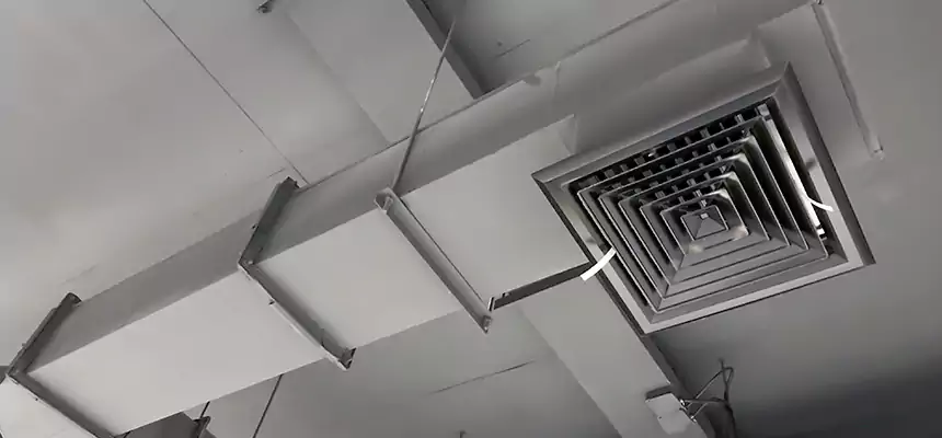 Our Rodent Droppings In Vents Services in Palos Hills, IL