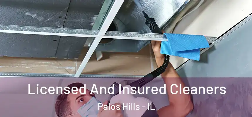  Licensed And Insured Cleaners Palos Hills - IL