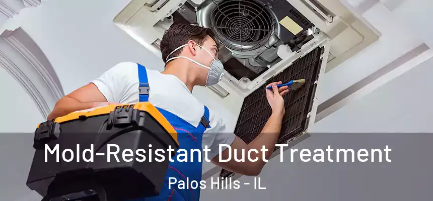  Mold-Resistant Duct Treatment Palos Hills - IL