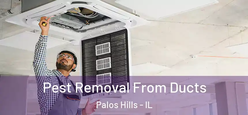  Pest Removal From Ducts Palos Hills - IL