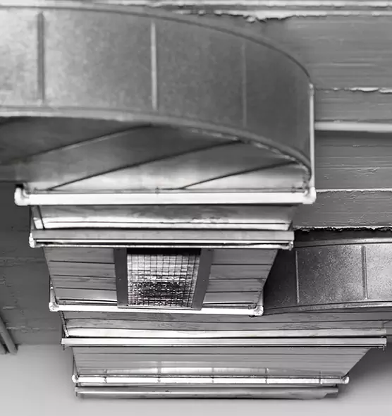 Professional Air Duct Pest Removal in Palos Hills, IL