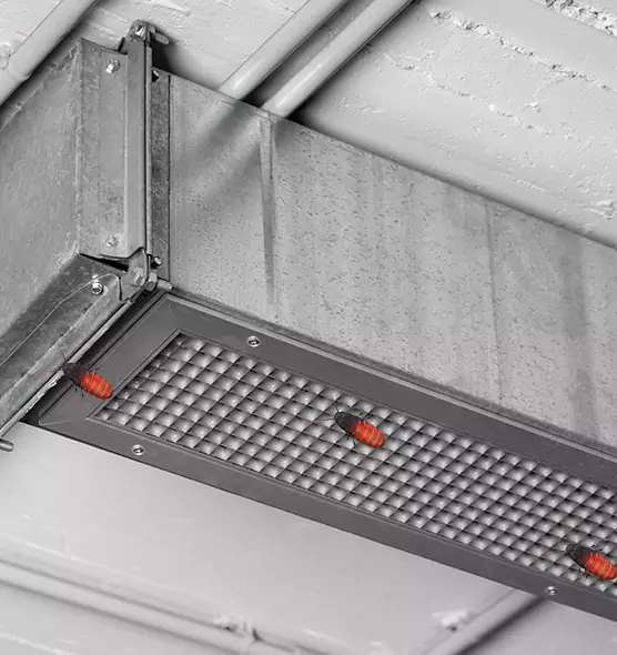 Affordable Insect Removal from Air Ducts in Palos Hills, IL