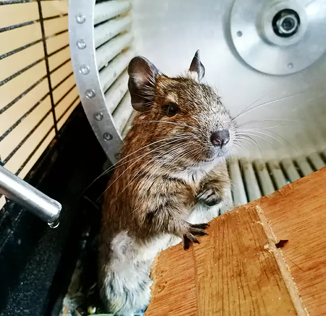 Why Homeowners & Businesses Trust Us Palos Hills, IL