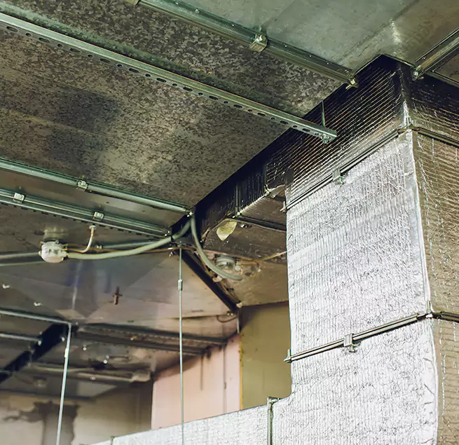 Why Homeowners & Businesses Trust Us in Palos Hills, IL?